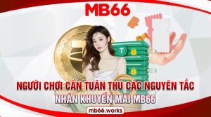 Tuân thủ điều kiện, quy tắc giúp nhận khuyến mãi dễ dàng